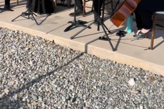 Oceanside String Quartet - 6