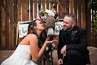 Cave Creek Beer Burro - 13