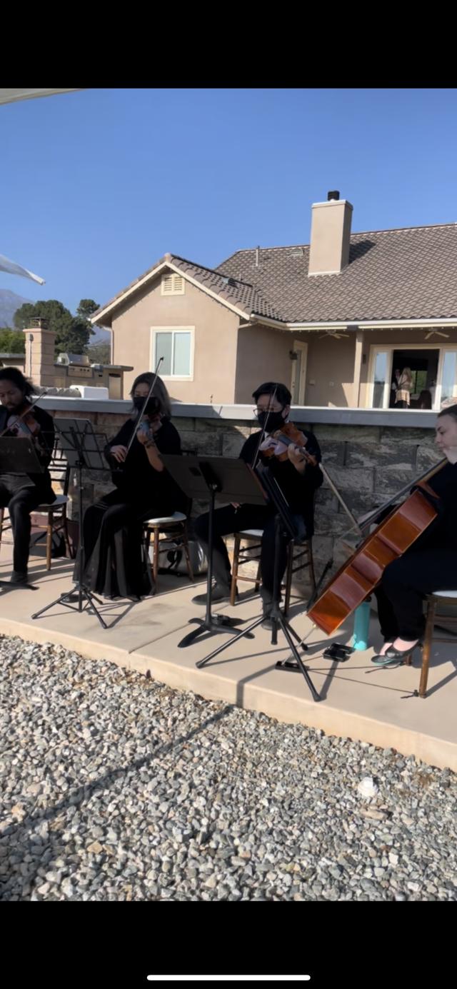 Oceanside String Quartet - 2