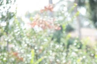 Glenn Alexander Photography - 16