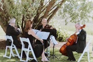 Allegro Quartet - 6