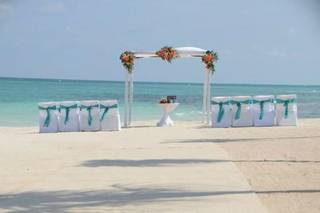 Black Swan Events - 44