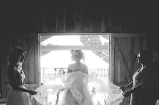 White Pine Grove - 40
