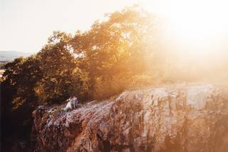 Twig and Olive Photography - 11