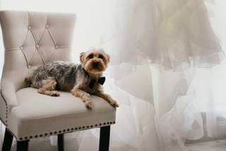 Photos For Hearts Photography - 107