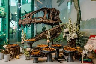 North Carolina Museum of Natural Sciences - 5