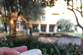 Carillon Weddings at Carillon Beach - 12