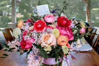 Sally Carpenter Photography - 52