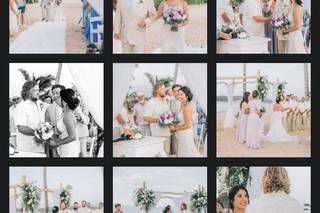 Vlady Flowers - 234