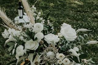Plume Events - 24