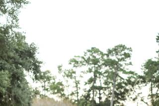 Pawleys Plantation Golf & Country Club - 42