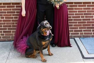 Taylor Webster Photography - 43