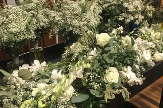 Harrington Flowers - 79
