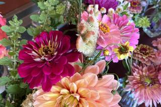 BridleWood Blooms - 8