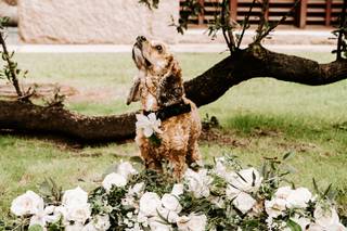 Erica Bonorden Photography - 58