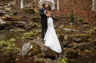 Taylor Willoughby Photo - 5