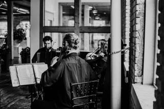 Heritage Hill String Quartet - 4
