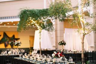 The Wintergarden by Monroe's - 9