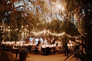 Arrowsmith Events - 17