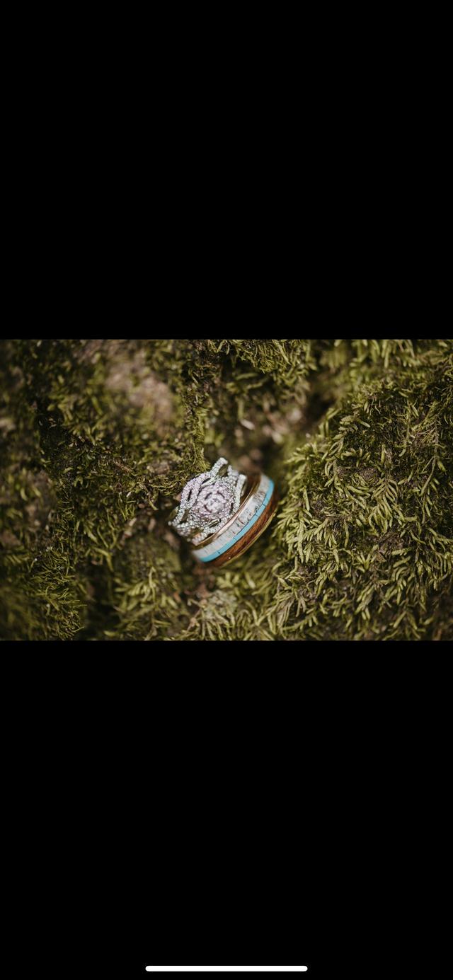 Cedar and Palm - 1