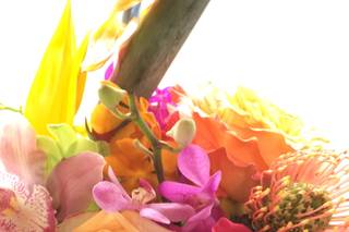 Miami Centerpieces, LLC - 183