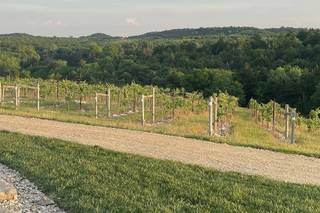Liquid Art Winery and Estate - 6