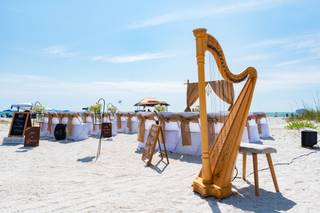 EMMA THE HARPIST LLC - 1