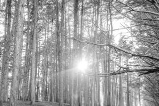 Tyler Vu Photography - 19