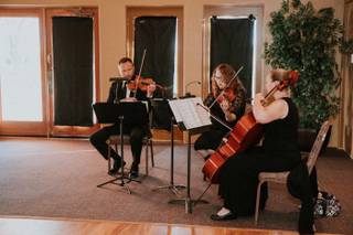 Giovanni String Quartet - 14