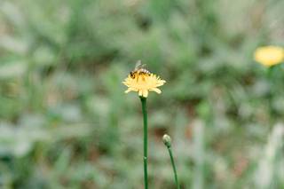 Nicole Colwell Photography - 6