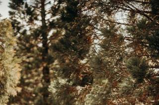 Allison Perez Photography - 10