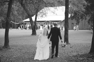 Lewiswood Farm - 40