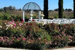 Truffle Pig Winery by Wedgewood Weddings - 25