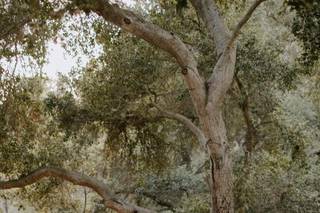 Katie Ruther Photography - 7