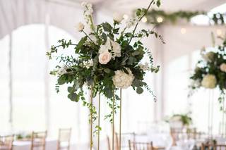 Lindsey Robinson Photography - 11