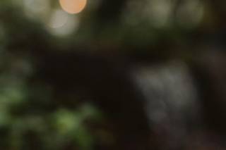 Samantha Phillips Photography - 7