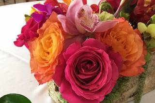 Miami Centerpieces, LLC - 187