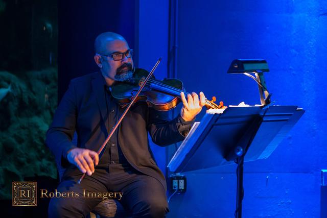 Sunset Strings - 1