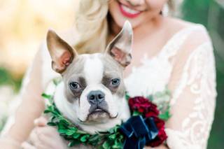 Michelle Lea Photographie - 6