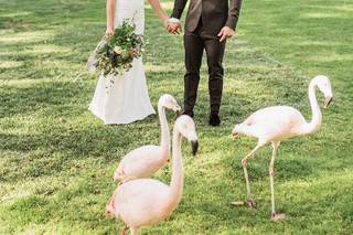 Jo Julia Photography - 21