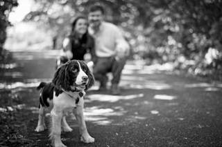 Todd Stoilov / Still & Motion - 31