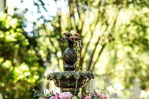 Pretty Petals of Charleston - 47