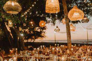 Tropical Occasions - 32