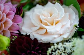 Jodi Iverson Florals - 56
