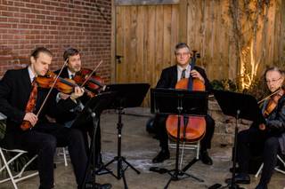 Landolfi String Quartet and Ensemble - 10