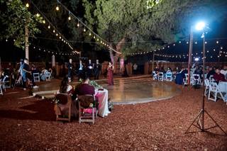 Weddings at Reptacular Animals Ranch in the Forest - 10