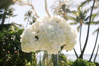 Asa Flowers - 105