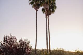 Amanda Basteen Photography - 47