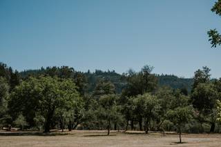 Triple S Ranch Napa - 8