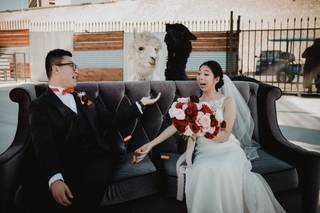 Lulan Wedding Photography - 57